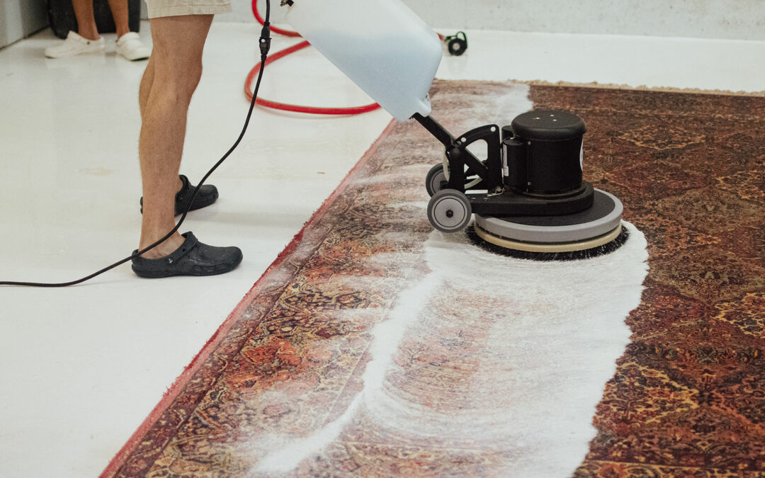 Does Professional Carpet Cleaning Remove Pet Odors?