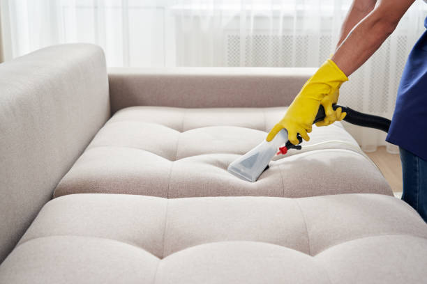 6 Upholstery Maintenance Tips from Our Caravan Rugs Experts 