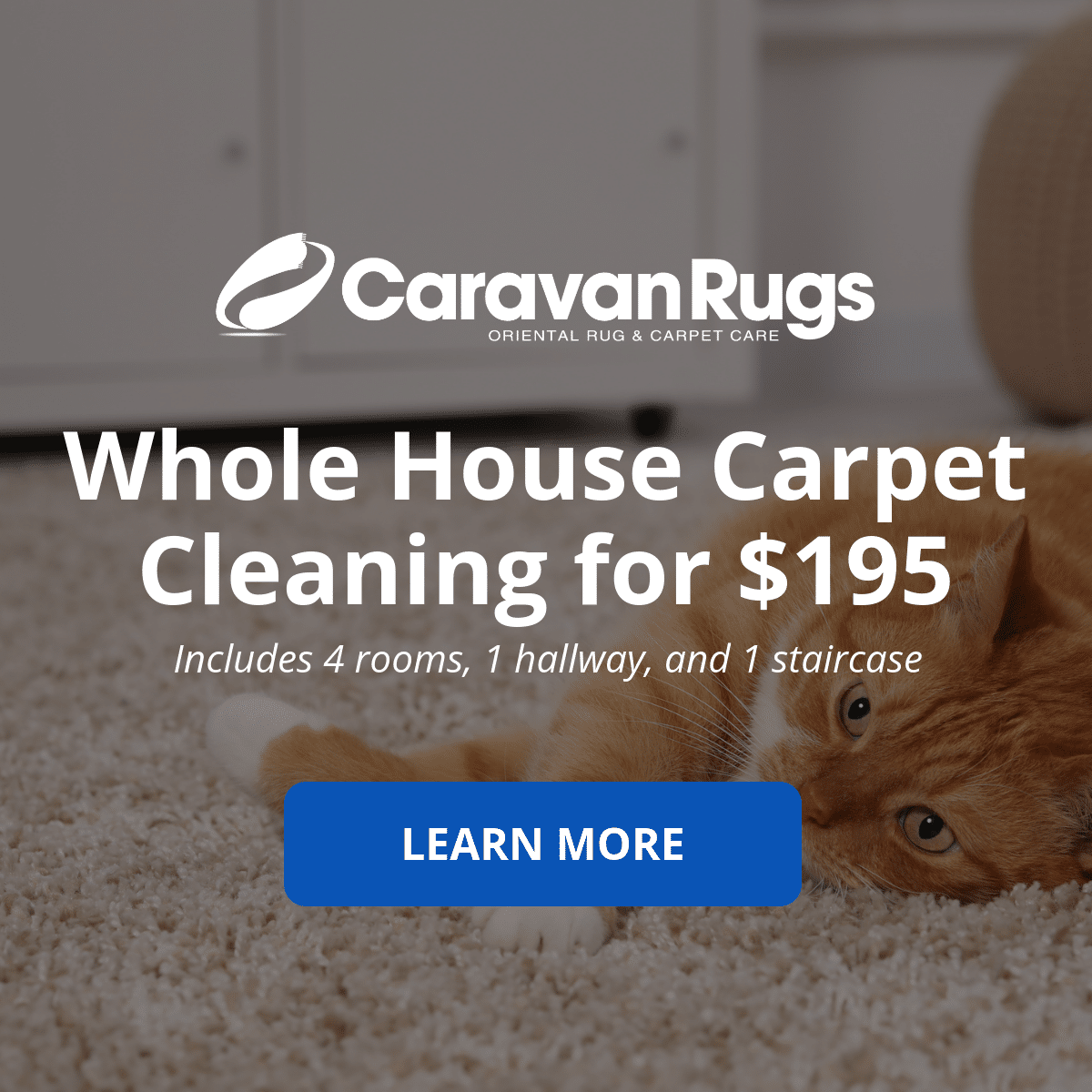 Carpet Cleaning Promo